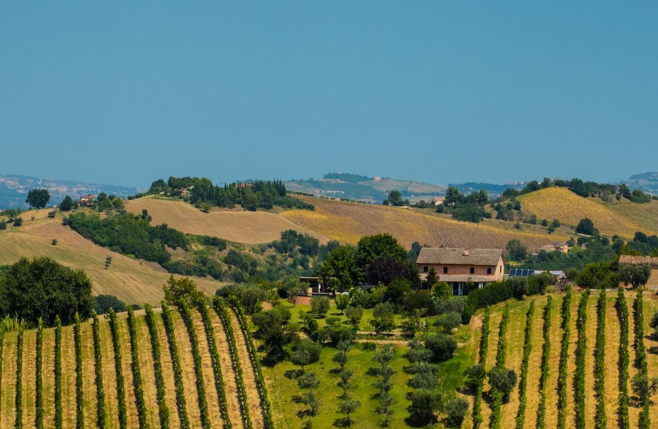 La Vigna Countrybnb Montottone Buitenkant foto